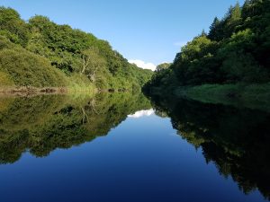 swimming without stress - learn to swim